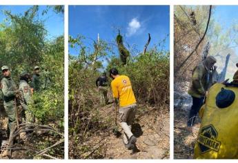 Controlan incendio forestal en San José de Cahuinahua, El Fuerte 