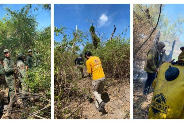 Controlan incendio forestal en San José de Cahuinahua, El Fuerte 