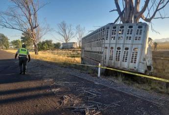 Niño accidentado en tráiler por la Maxipista sufre muerte cerebral