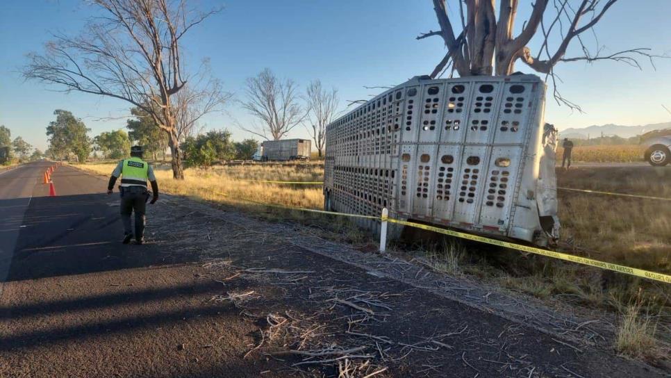 Niño accidentado en tráiler por la Maxipista sufre muerte cerebral