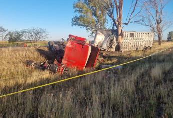 «Una pestañeada» de trailero causó el accidente en la Maxipista, aseguran