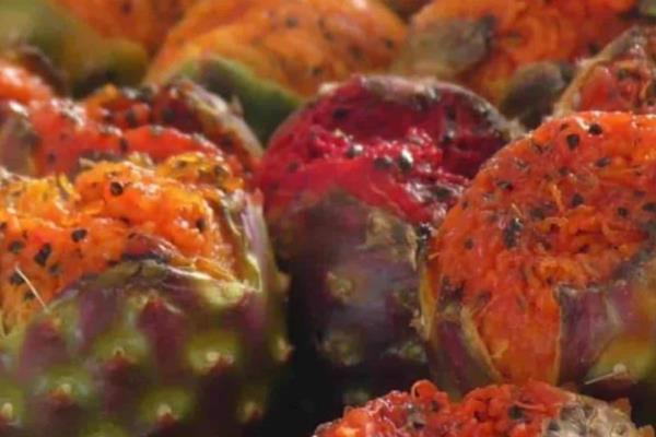 ¿Cuándo inicia la temporada de pitahaya en Sinaloa?