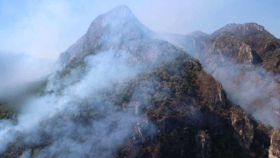 Así se combate el gran incendio forestal de la sierra de Elota; tiene una semana ardiendo