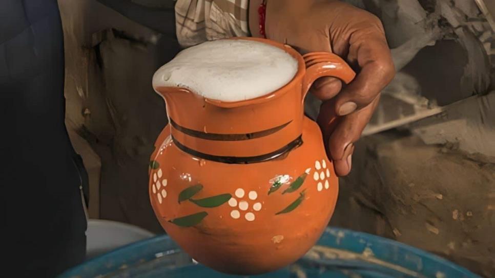 El Pulque, bebida ancestral que ayuda a curar varias enfermedades que no creerías