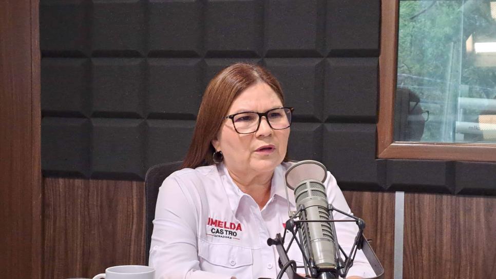 Imelda Castro pide que se investigue «red de complicidades» tras robo de medicinas en el IMSS