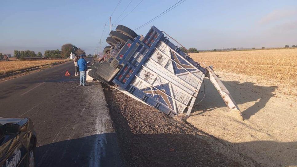 Vuelca torton cargado con 18 toneladas de maíz en Guasave