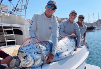 Pez Remo emerge en playas de Los Cabos; ¿se acerca un terremoto?