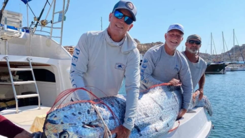 Pez Remo emerge en playas de Los Cabos; ¿se acerca un terremoto?