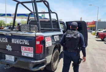 Colocan troncos por la carretera México 15  y despojan un vehículo  a una familia de Los Mochis.