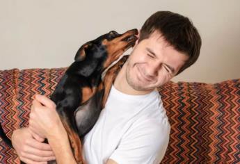 ¿Besas a tu perro? ¡Cuidado! Puede transmitir estas enfermedades con su saliva