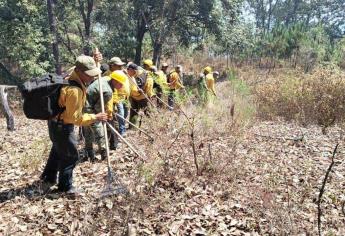 Ejército aplica Plan DN-III-E para sofocar incendios forestales en Sinaloa