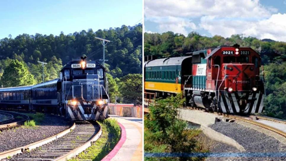 Tren Chepe Express o Regional: ¿en cuál es más barato viajar?