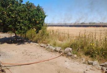 Quema de soca en Sinaloa afecta el clima e inhibe la lluvia, según especialistas