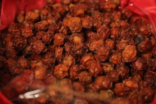 Agua Caliente de Gárate, un pueblo señorial de Sinaloa destacado por sus productos derivados de ciruela