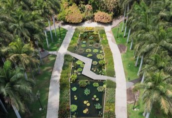 Culiacán cuenta con este pulmón natural que es uno de los sitios más visitados todos los días