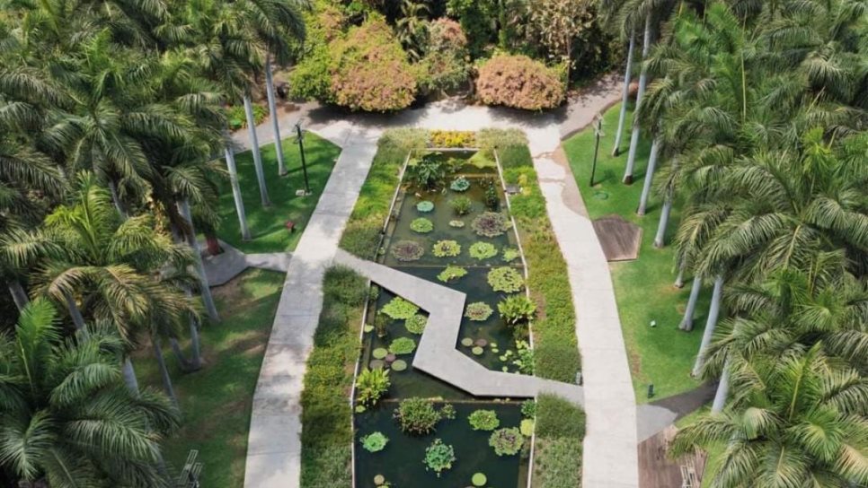 Culiacán cuenta con este pulmón natural que es uno de los sitios más visitados todos los días