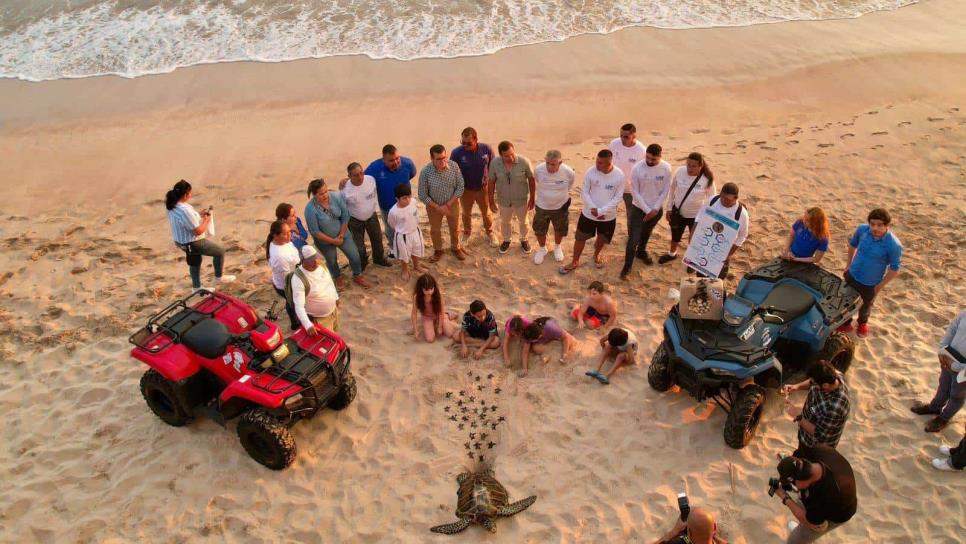 Ven a vivir una de las mejores experiencias de tu vida en Mazatlán liberando tortugas Ven a vivir una de las mejores experiencias de tu vida en Mazatlán liberando tortugas