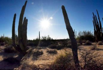 En este pueblo de Sonora soportan calor extremo de más de 50 grados en el desierto