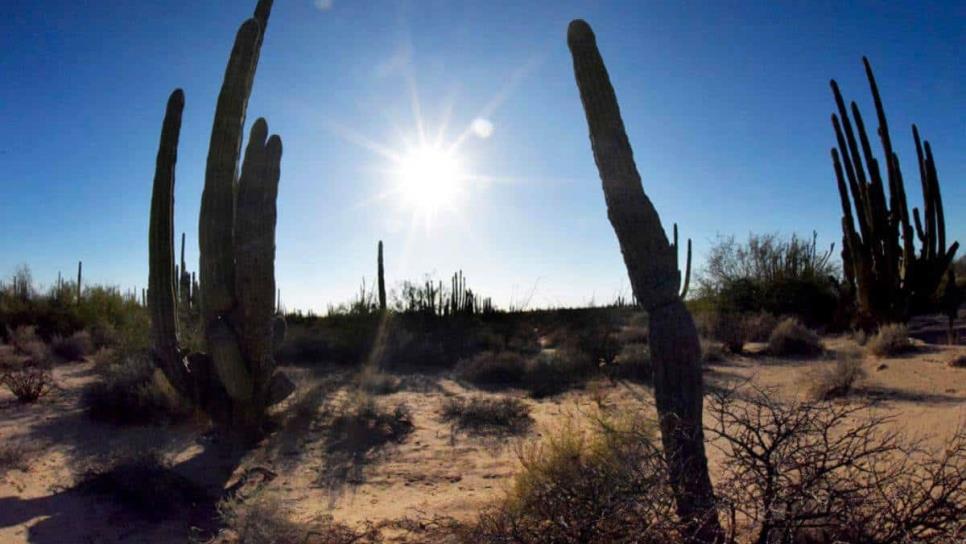 En este pueblo de Sonora soportan calor extremo de más de 50 grados en el desierto