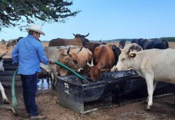 «Es un abuso de los industriales comprar leche a 5 pesos»: Faustino Hernández