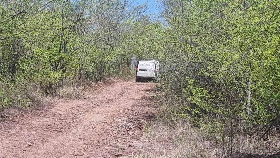 Localizan asesinado un hombre y con mensaje en una cartulina al sur de Culiacán