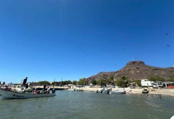 Pescadores «libres» saquean camarón en Topolobampo