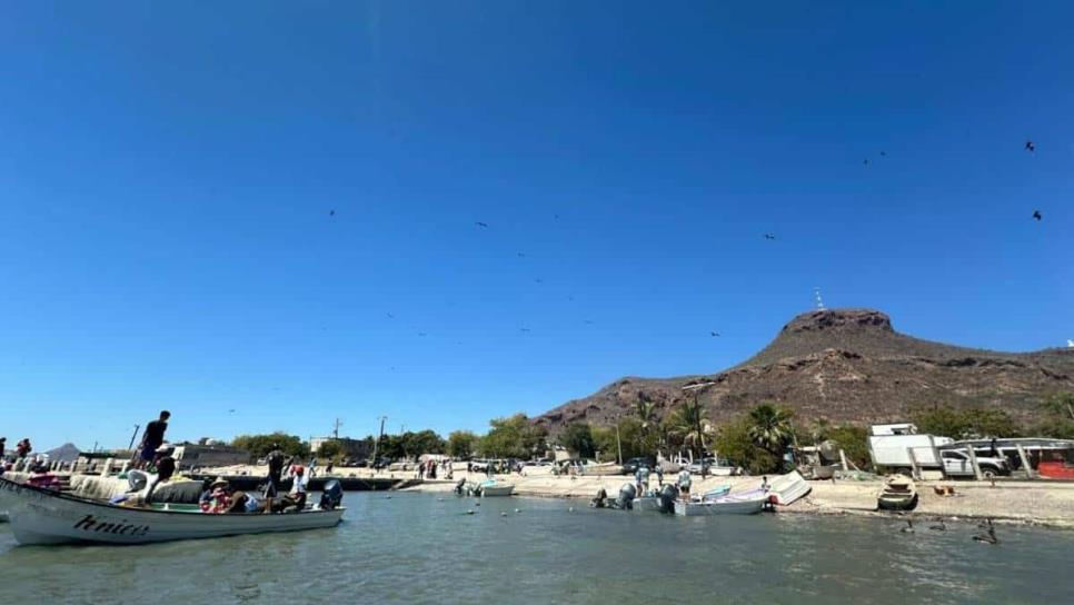 Pescadores «libres» saquean camarón en Topolobampo