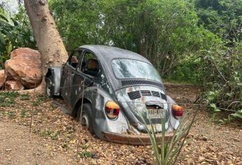 ¿El vocho estrellado en el Jardín Botánico de Culiacán es una obra de arte?