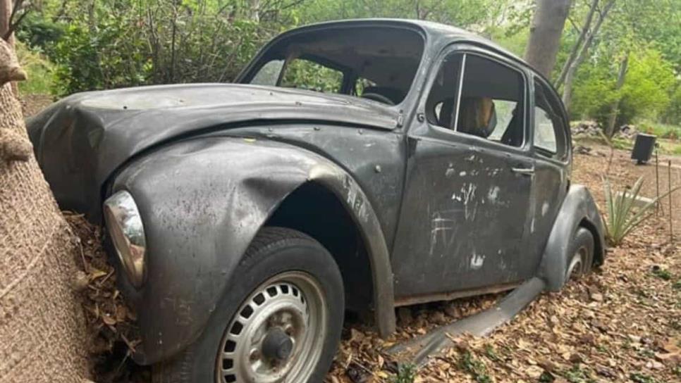 «Vocho Estrellado» en el Jardín Botánico de Culiacán ¿qué modelo es y qué significa la obra?