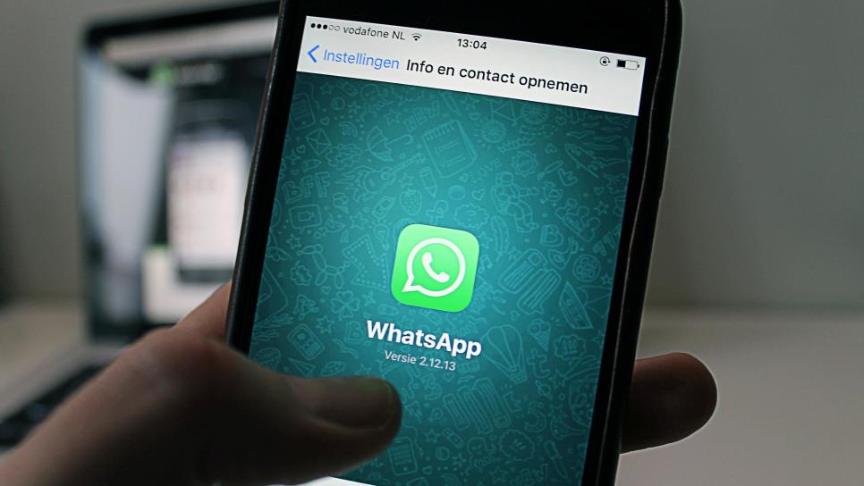 Meta AI llega a WhatsApp; ¿qué es y cómo desactivarla?