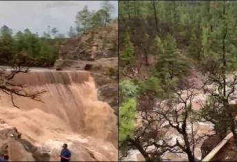 Así llegan los arroyos a las presas de Sinaloa desde la sierra de Chihuahua | VIDEO