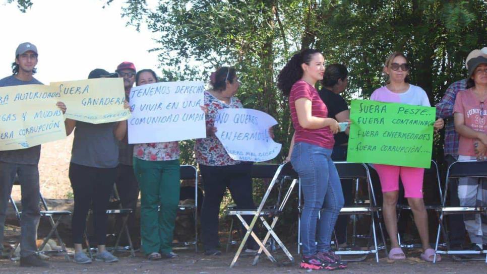 Vecinos de San Rafael, Guasave, toman acceso a corral de ganado, no soportan el olor y las moscas