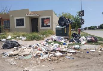 No aguantan el olor a basura en las colonias de Los Mochis