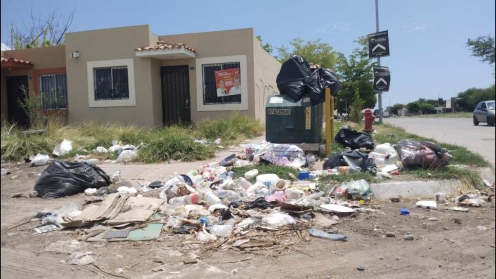 No aguantan el olor a basura en las colonias de Los Mochis