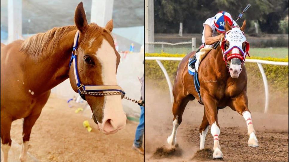 ¿Quién era el dueño de «El Payaso», icónico caballo de carreras en Culiacán?