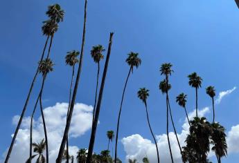 ¡Calorón! Hasta 41 grados se esperan en Los Mochis este martes, 30 de julio