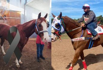 Fallece «El Payaso», icónico caballo de carreras en Culiacán