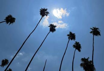 ¡Día caluroso! Se esperan casi 40 grados en Los Mochis este miércoles