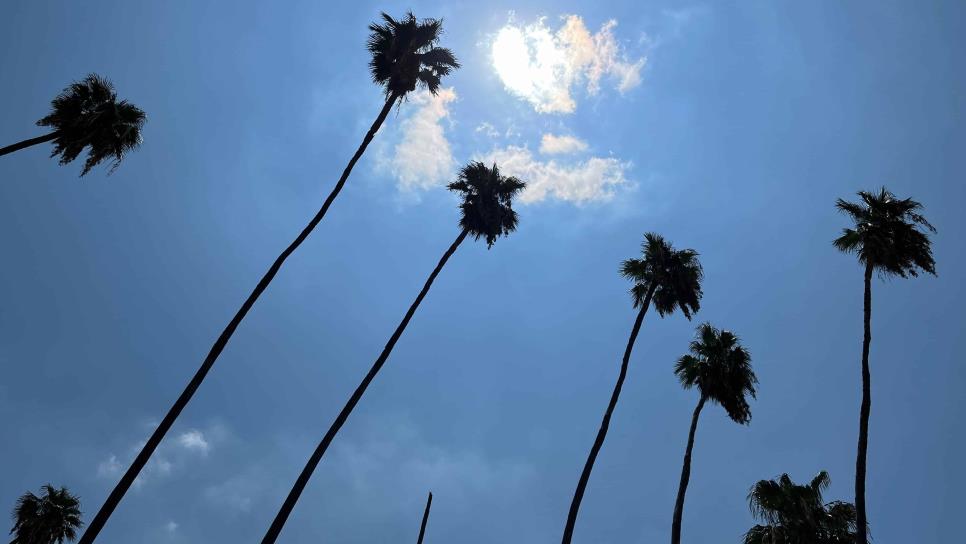 ¡Día caluroso! Se esperan casi 40 grados en Los Mochis este miércoles