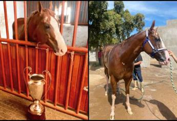 Caballo «El Payaso» ¿de dónde era este famoso alazán y de qué cuadra?