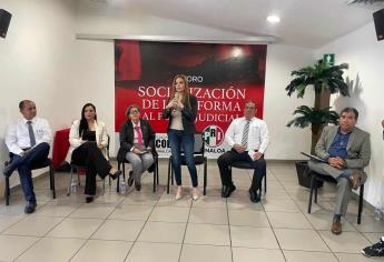 Reforma del poder judicial pone en juego la democracia de México: PRI