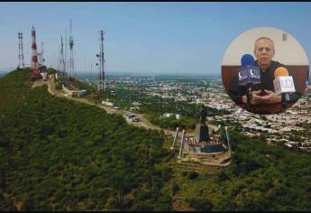 ¡El colmo! Se roban los árboles recién plantados en el Cerro de la Memoria