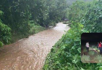 Era repartidor de refrescos el hombre arrastrado por el arroyo en Mocorito