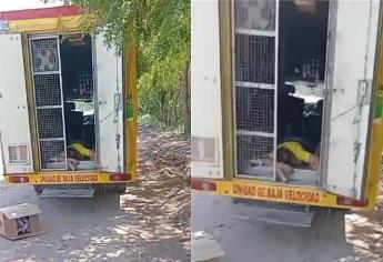 “No fue autorobo y sí me golpearon con un bat”, dice joven que denunció asalto en Los Mochis