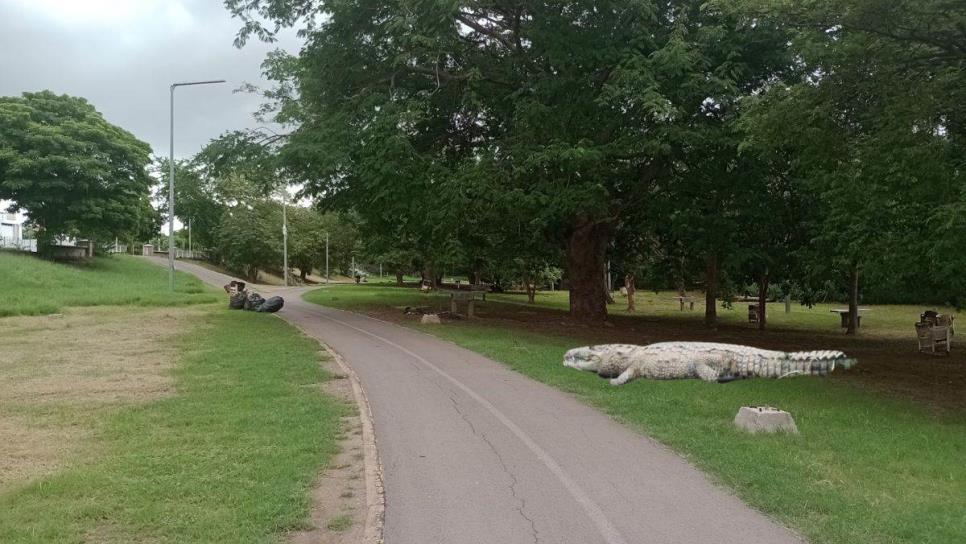 ¿Cuántos cocodrilos hay en el Parque Las Riberas de Culiacán?