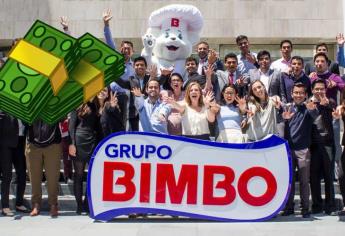 Bimbo ofrece una vacante con sueldo de más de 30 mil pesos, ¿Cuáles son los requisitos? 