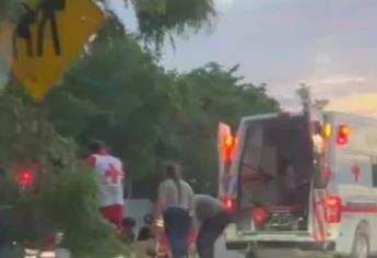 Hombre se estrella contra un árbol y un poste de luz en la carretera a Navolato