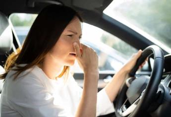 ¿Cómo quitar el olor a cigarro en el auto? Sigue estos tips