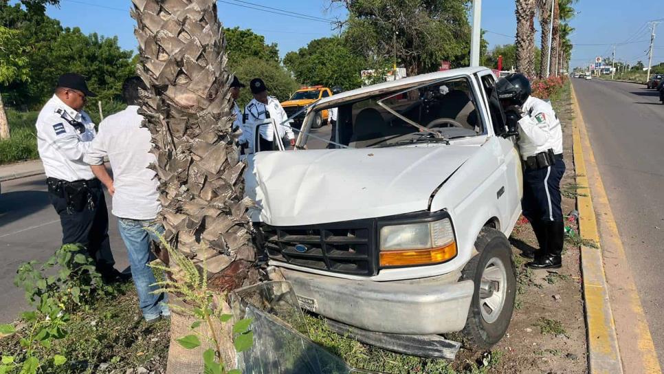 Le fallan los frenos en pleno bulevar y se impacta contra una palmera en Los Mochis