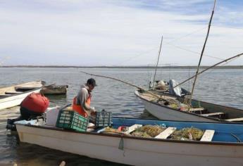 Bienpesca Sinaloa se pagará en septiembre 